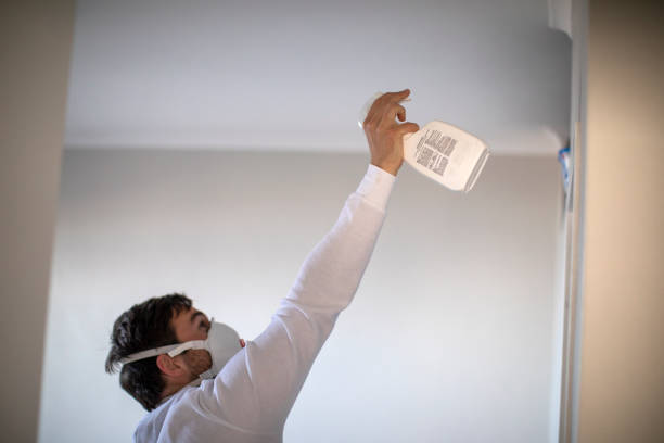 Best Residential Mold Remediation in Eclectic, AL