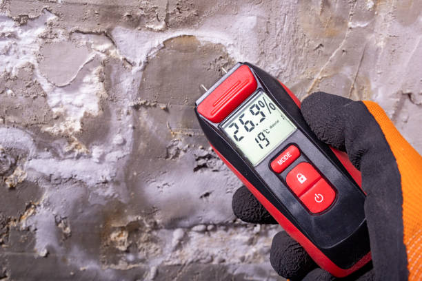 Best DIY Mold Remediation Support Services in Eclectic, AL