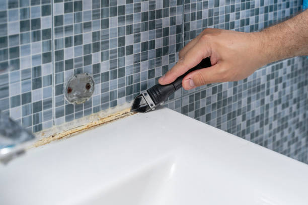 Best Post-Remediation Services in Eclectic, AL
